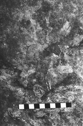NMSA 03 6140P