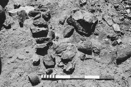 NMSA 03 542P