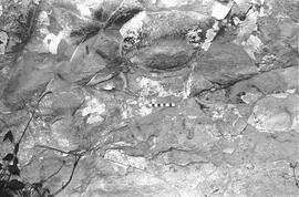 NMSA 03 1768P