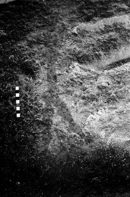 NMSA 03 3323P