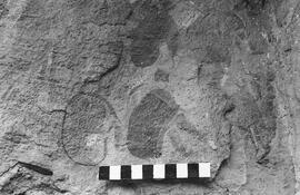 NMSA 03 1008P