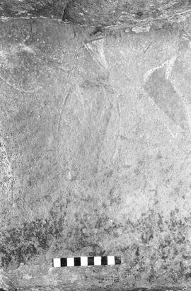 NMSA 03 1338P