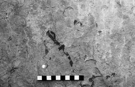 NMSA 03 3313P