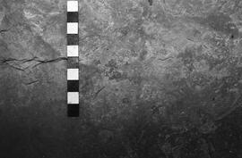 NMSA 03 3078P