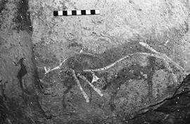 NMSA 03 5007P