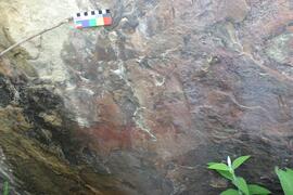 NMSA RSA FUL1 97D