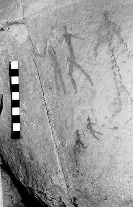NMSA 03 4043P