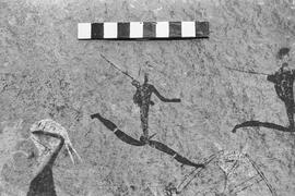 NMSA 03 1413P