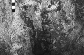 NMSA 03 3230P
