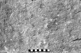 NMSA 03 6417P