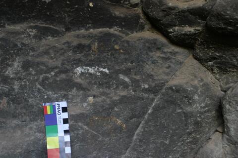 Open original Digitaal object