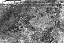 NMSA 03 440P