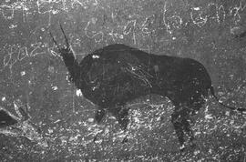 NMSA 03 7432P