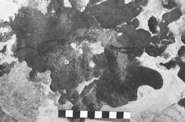 NMSA 03 2609P