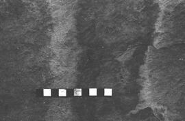 NMSA 03 1998P