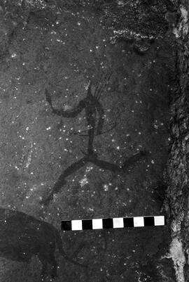 NMSA 03 3327P