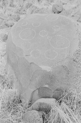 NMSA 03 8157P