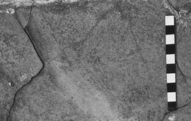 NMSA 03 6198P