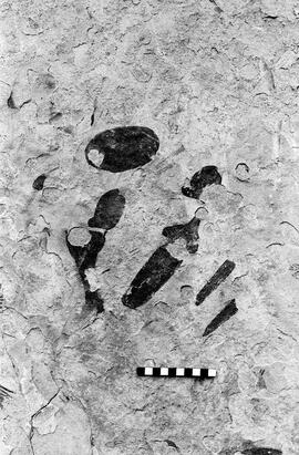 NMSA 03 3285P