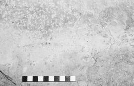 NMSA 03 1969P
