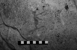 NMSA 03 3492P