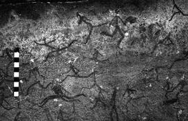 NMSA 03 3054P