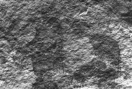 NMSA 03 944P