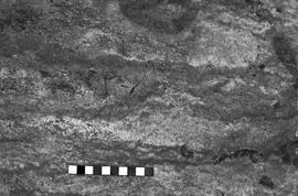 NMSA 03 2255P