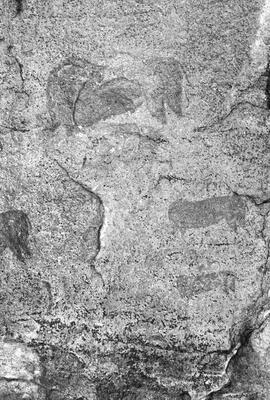 NMSA 03 359P