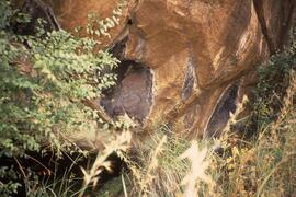 RSA CWD2 1