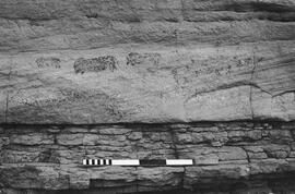 NMSA 03 119N