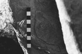 NMSA 03 2389P