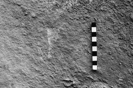 NMSA 03 6839P