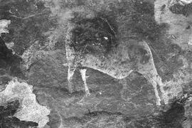 NMSA 03 229P
