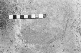 NMSA 03 1958P