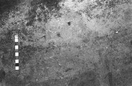 NMSA 03 6452P