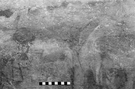 NMSA 03 6363P