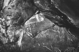NMSA 03 2217P