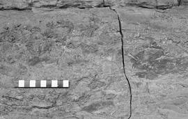 NMSA 03 328P