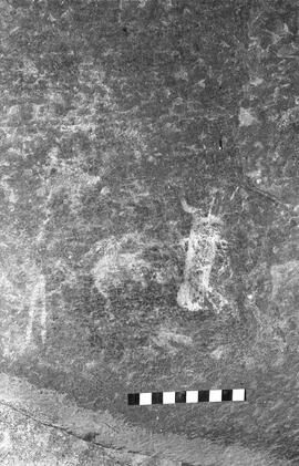 NMSA 03 1568P