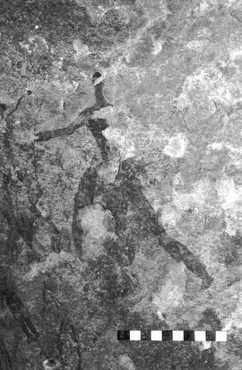 NMSA 03 6126P