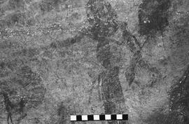 NMSA 03 5301P