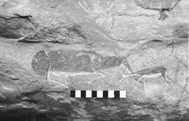 NMSA 03 1072P