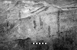 NMSA 03 4161P