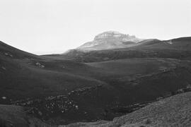 NMSA 03 5851P