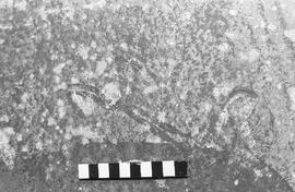 NMSA 03 1404P
