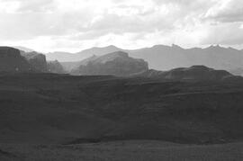 NMSA 03 6440P
