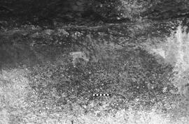 NMSA 03 5836P