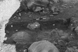 NMSA 03 5130P