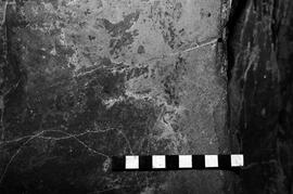 NMSA 03 4476P